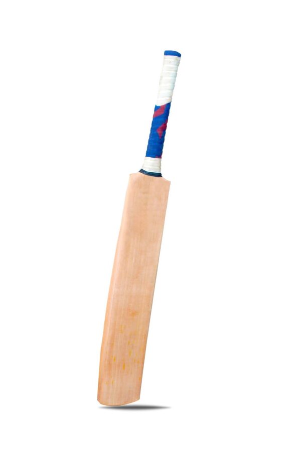 Cricket Bat